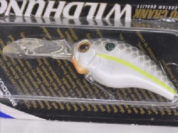 Queen shad (#289)