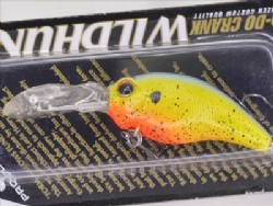 Bleeding sun fish  (#381)