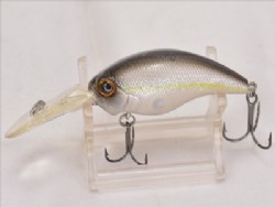 American shad