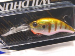 Baby gill (#50)