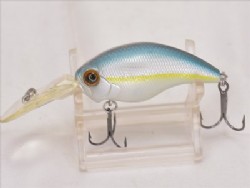 Blue back hering