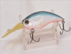 Blue shad