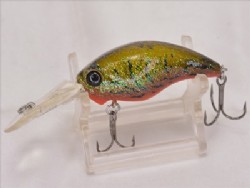 American shad