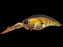 Bleeding brown craw (#81)