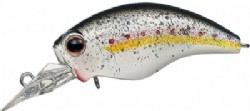 King shad (#272)
