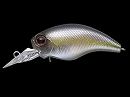 American shad (#253)