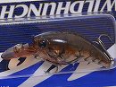 Bleeding red craw (#82)