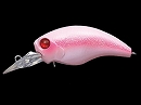 Morizo pink (#208)