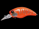 Passion orange (#243)