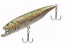 Rainbow trout