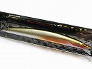 PM Ochiayu