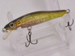 GG Tongyo female