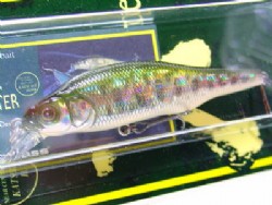 GG trout