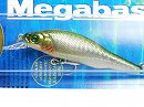 GG Megabass kibinago