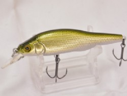 Wakin golden shad