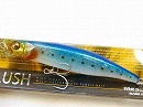 GLX Blue back iwashi