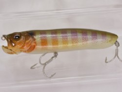 Hakusei glitter gill