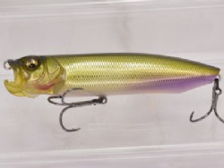 Wagin moss back golden shad