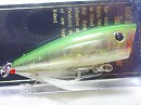 Ghost minnow