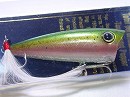 Rainbow trout
