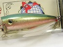 Rainbow trout