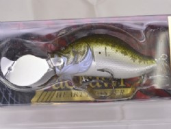 Largemouth bass