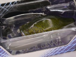 Murray cod