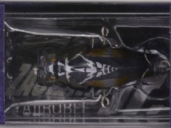 Black cicada (#102)