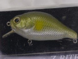 Waka ayu