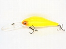 Yellow white belly