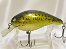 Bass