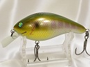 Gill
