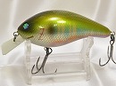 Oikawa male