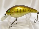 Smallmouth bass