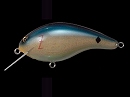 Blue back shad