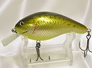 Bass