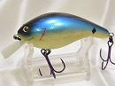 Blue back shad
