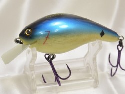 Blue back shad