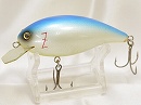 Blue back shad 2