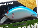 Blue back shad 2