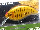 Smallmouth bass