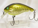 Bass