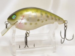 Rainbow trout