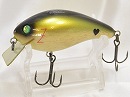 Shad