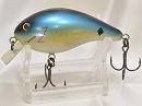 Blue back shad