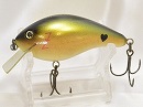 Shad