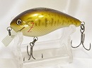 Smallmouth bass
