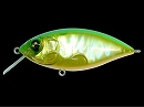 AML Lime chart OB