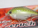 Olive copper shad (#373)