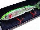 Sight rainbow trout